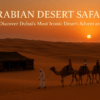 Arabian-Desert-Safari:-Discover-Dubai’s-Most-Iconi- Desert-Adventure