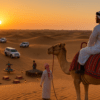 Privat- Morning-Desert-Safari-Dubai