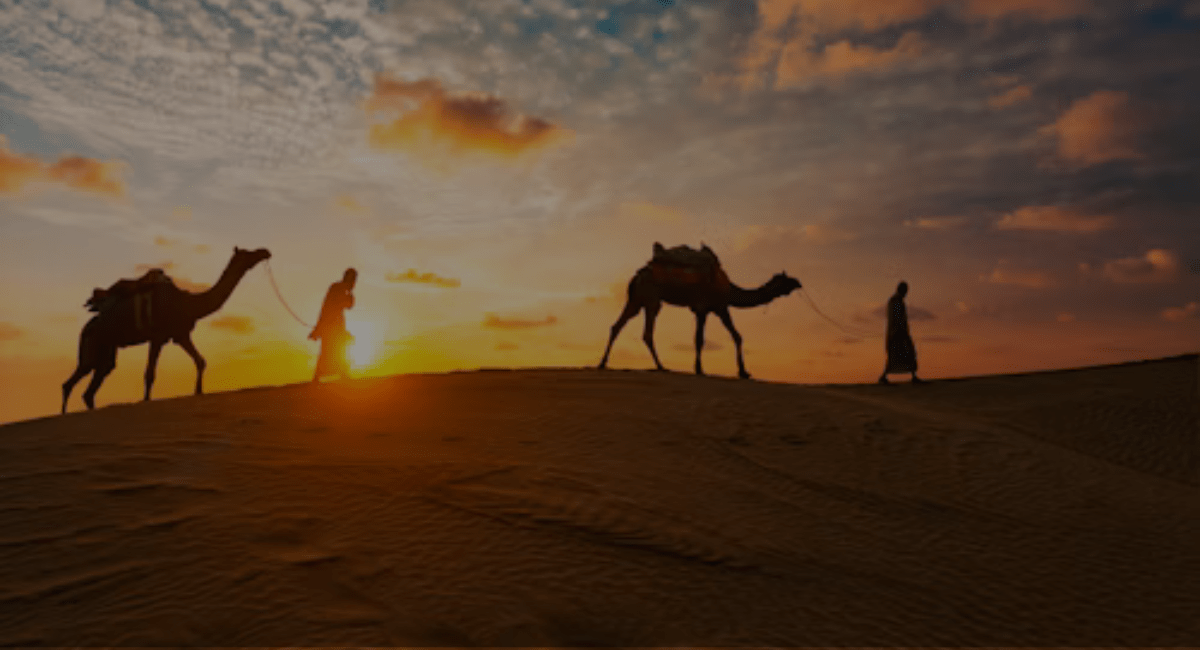 Smart Tips for a Comfortable Desert Safari in Dubai This July